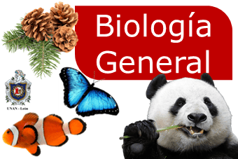 Biologia General G130