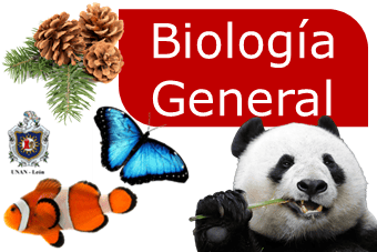 Biologia General G132