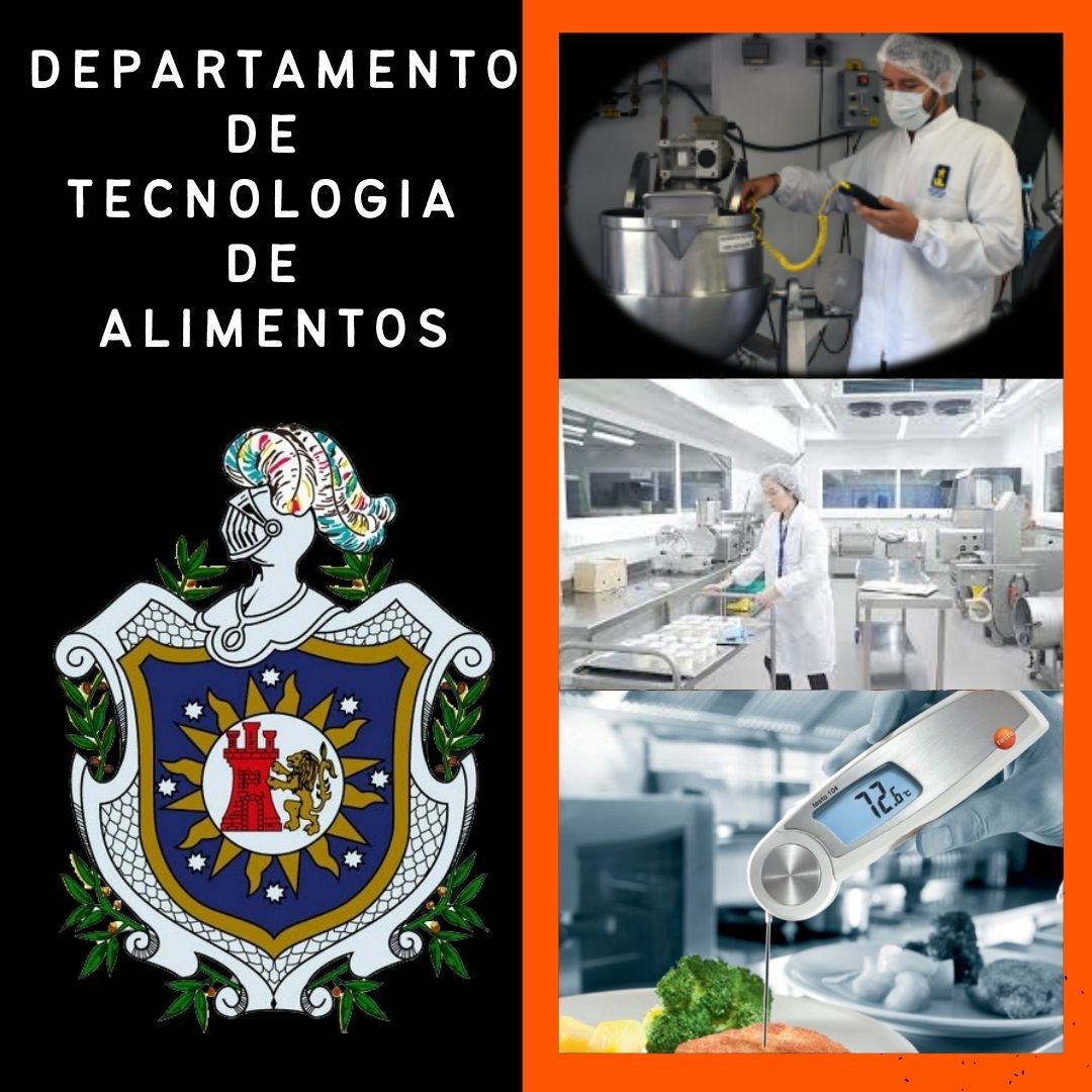 Metodología de la Investigación II 2022