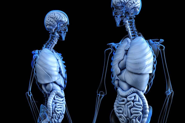 Fisiología Normal y Patológica II